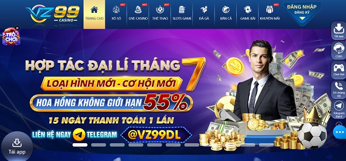Đánh Giá Chi Tiết Về Nhà Cái Cá Cược VZ99