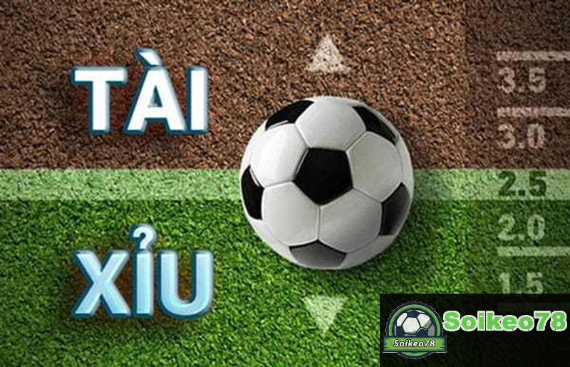 Cách soi kèo tài xỉu – Hướng dẫn và chia sẻ các bước thực hiện đơn giản